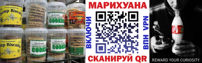 продажа наркотиков  Сурск  ссылка на мегу tor  Canna-Cookies марихуана 
