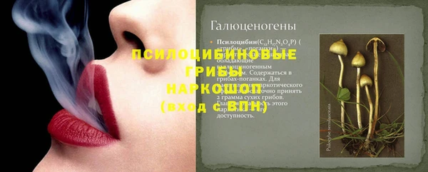 мдпв Инсар
