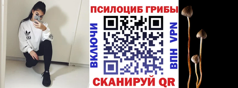 кракен маркетплейс  Сурск  Галлюциногенные грибы Cubensis  darknet как зайти  наркошоп 